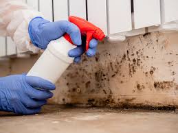 Best Mold Documentation for Insurance Claims  in USA